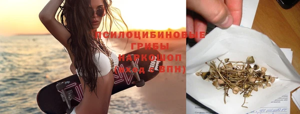 меф Няндома