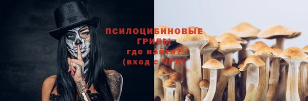твердый Магас