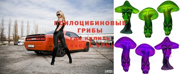 apvp Михайловск