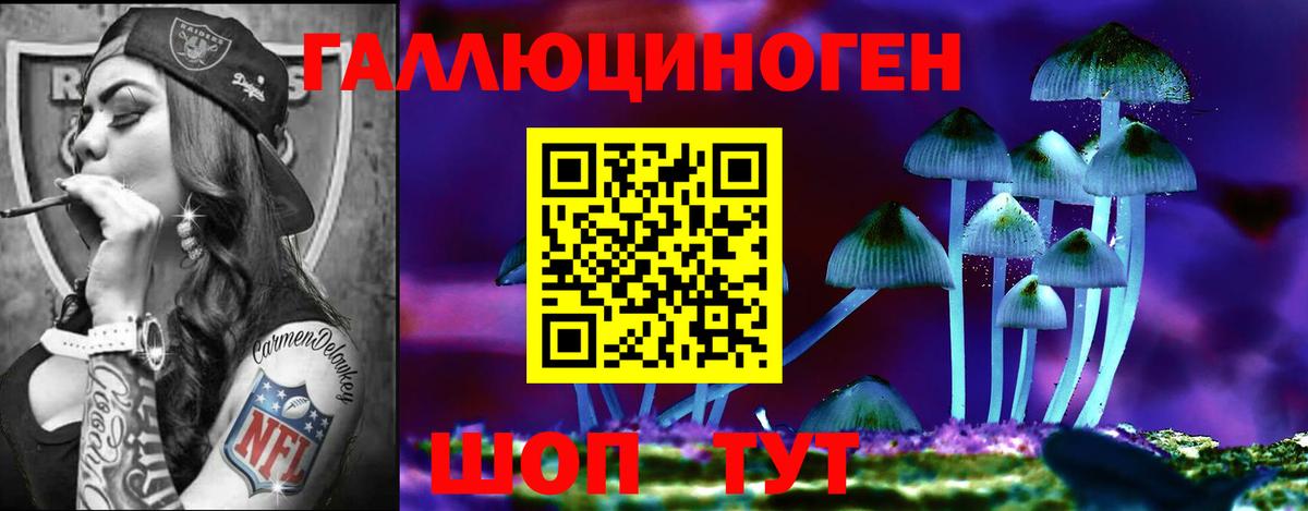 Углич  Псилоцибиновые грибы Psilocybe  Псилоцибиновые грибы Psilocybe  Вход с VPN 